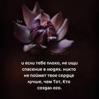 Умм Айша