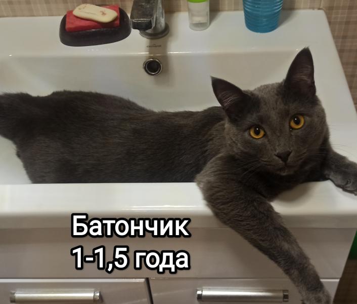 post image 4