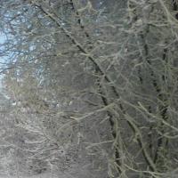 ольга