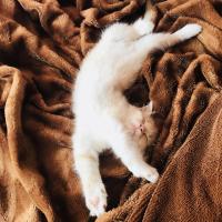 Алена Ишутина