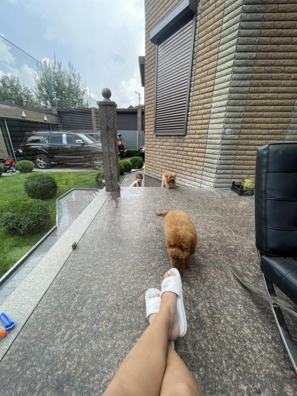 post image 5