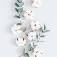 Ксения Вебер