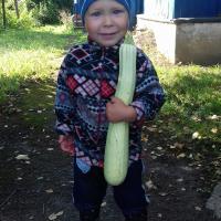 Ксения