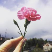 Раушан
