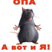 Катя