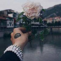 дарья