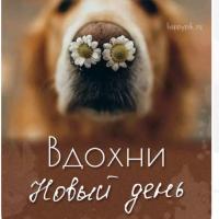 Дарья