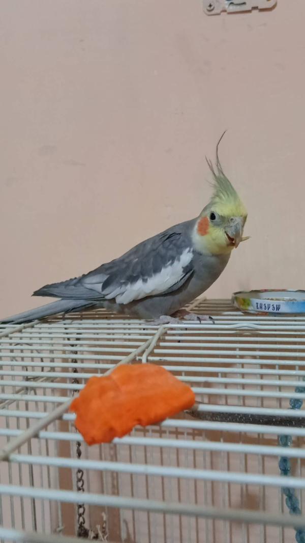post image 4