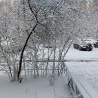 Гузель 