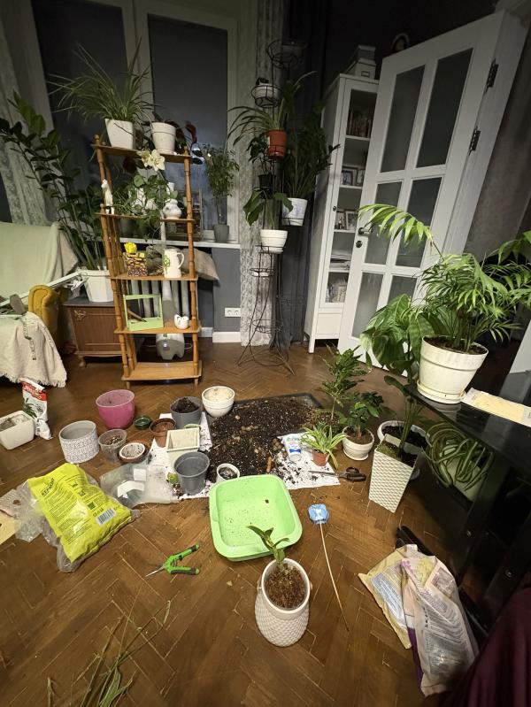 post image 5