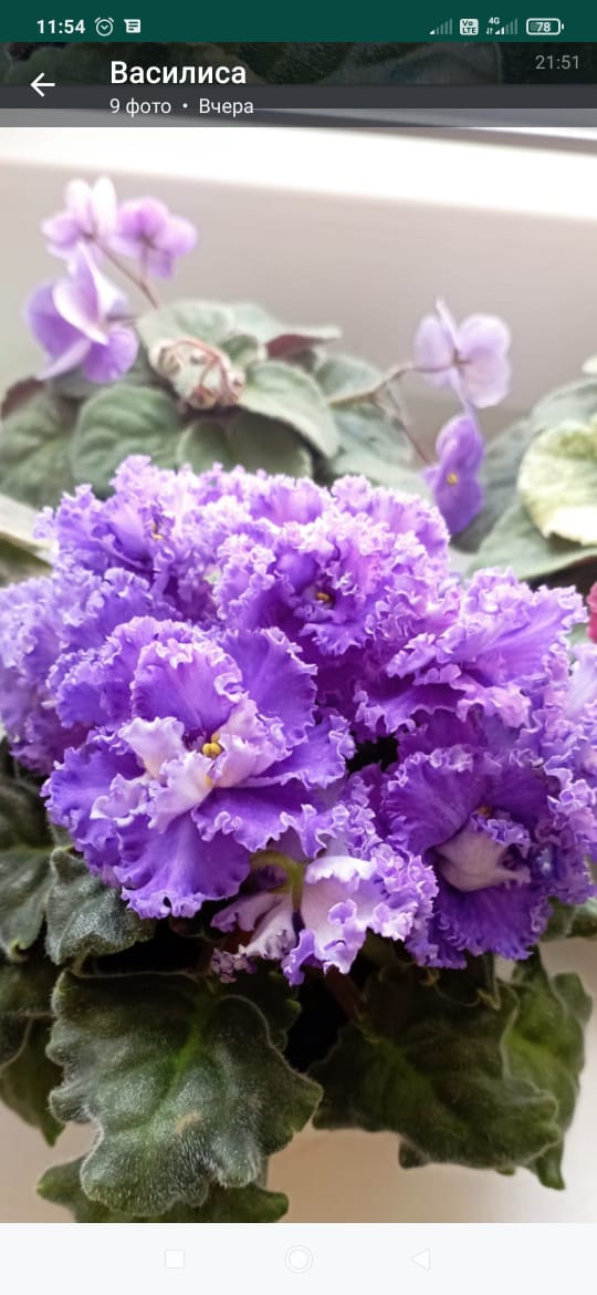 post image 4