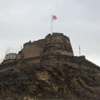 Tilki