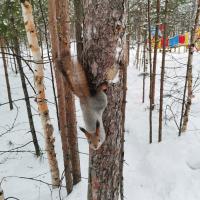 Ольга