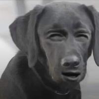 Сигурни  ❤️‍🔥