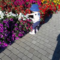 Evgeniia2628