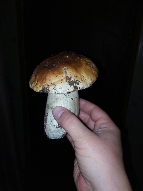post image 4