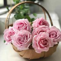 Бусулба йиша