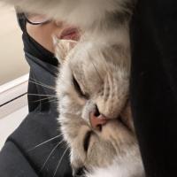 Малика💙