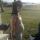 shortylynn253