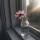 sova_23