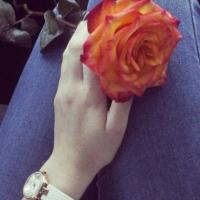 Rose_K