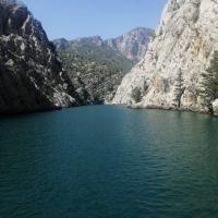 Викаа