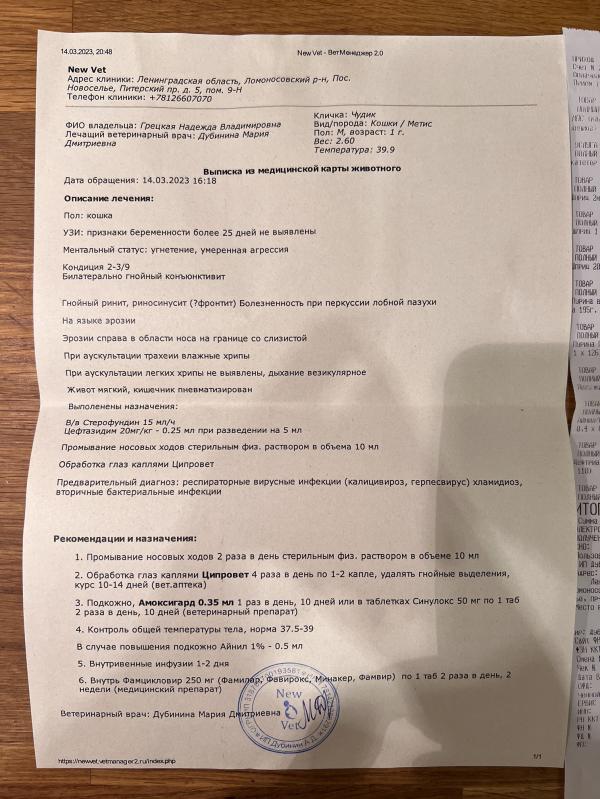 post image 4