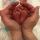 suzi_qvatra