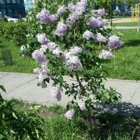 Дьяченко Марина