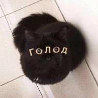 Марина