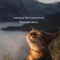 Гаечка