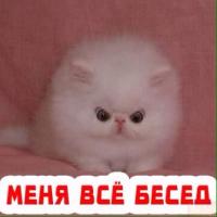 БлЯхаМуха!