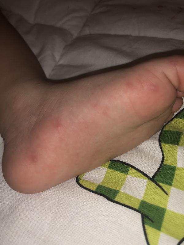 post image 5