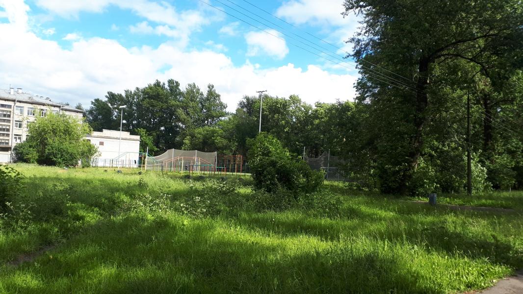 post image 5