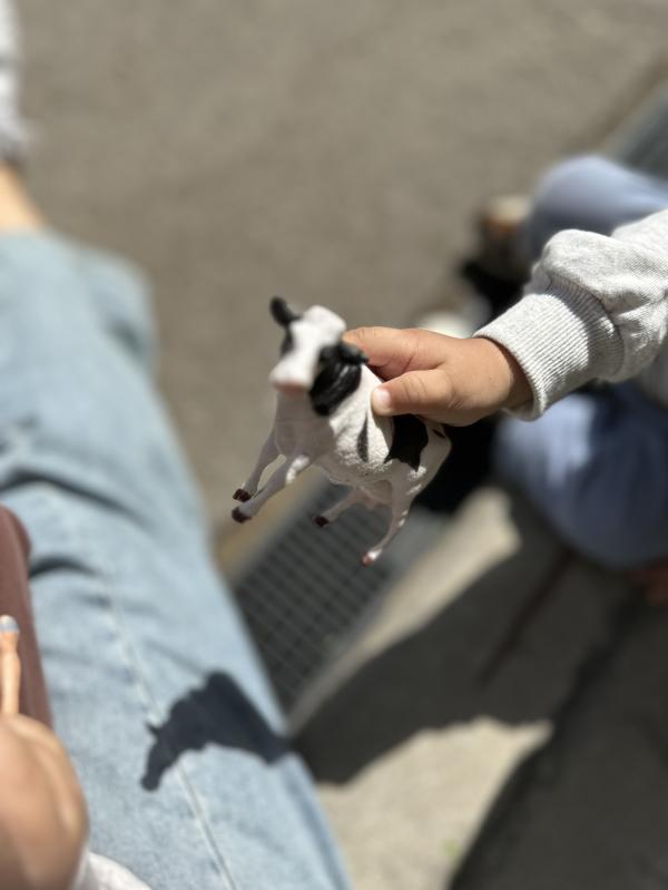 post image 5