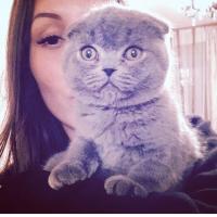 tina
