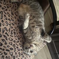olgaki88@icloud.com