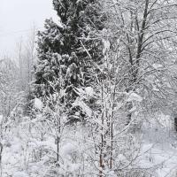 Кнопик