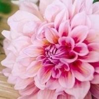 Марина