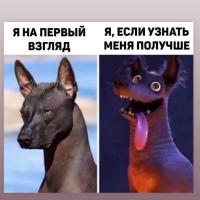 Галина