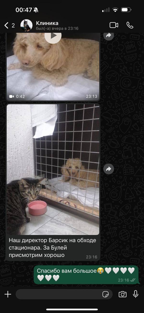 post image 3