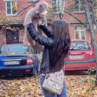 Дарья Антонова