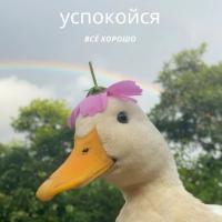 уточка спокойствия