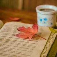 marysyabook
