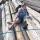 lolik2666690