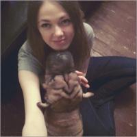 Елена