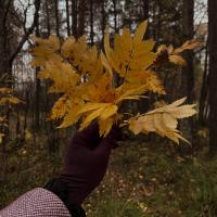 🍂☕️🫀