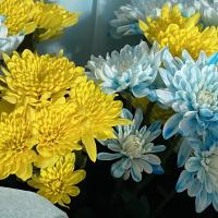 Милана