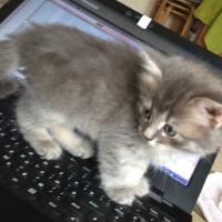Марина Иванова 