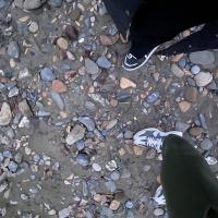 Эмент